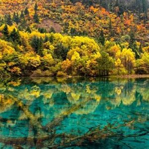 Tour du lịch Cửu Trại Câu – Mâu Ni Câu – Thành Đô 5 ngày 4 đêm